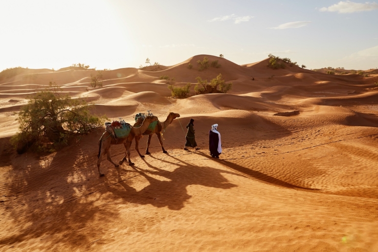Desert safari- one of the best things to do in Dubai for couples