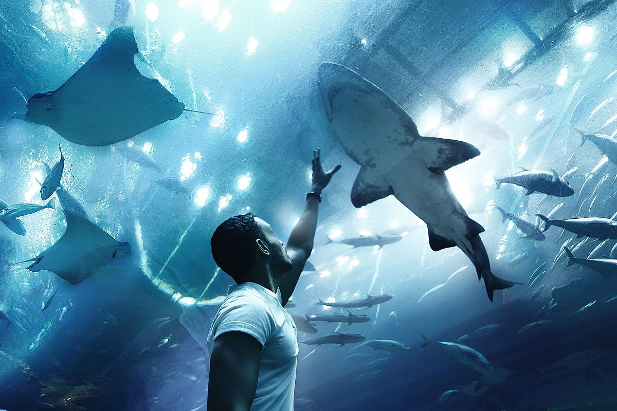 Dubai Mall aquarium and underwater zoo
