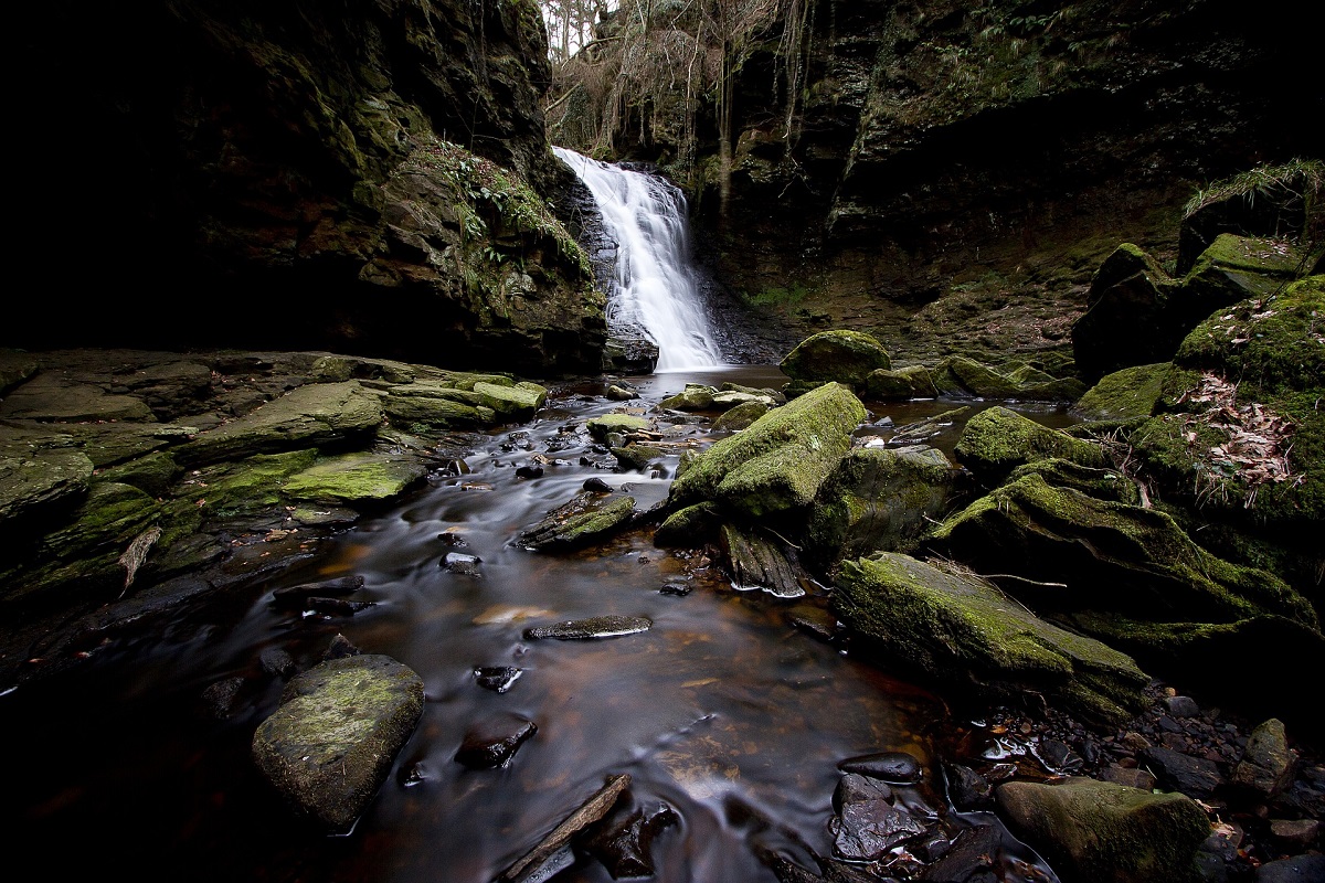 Hareshaw Linn