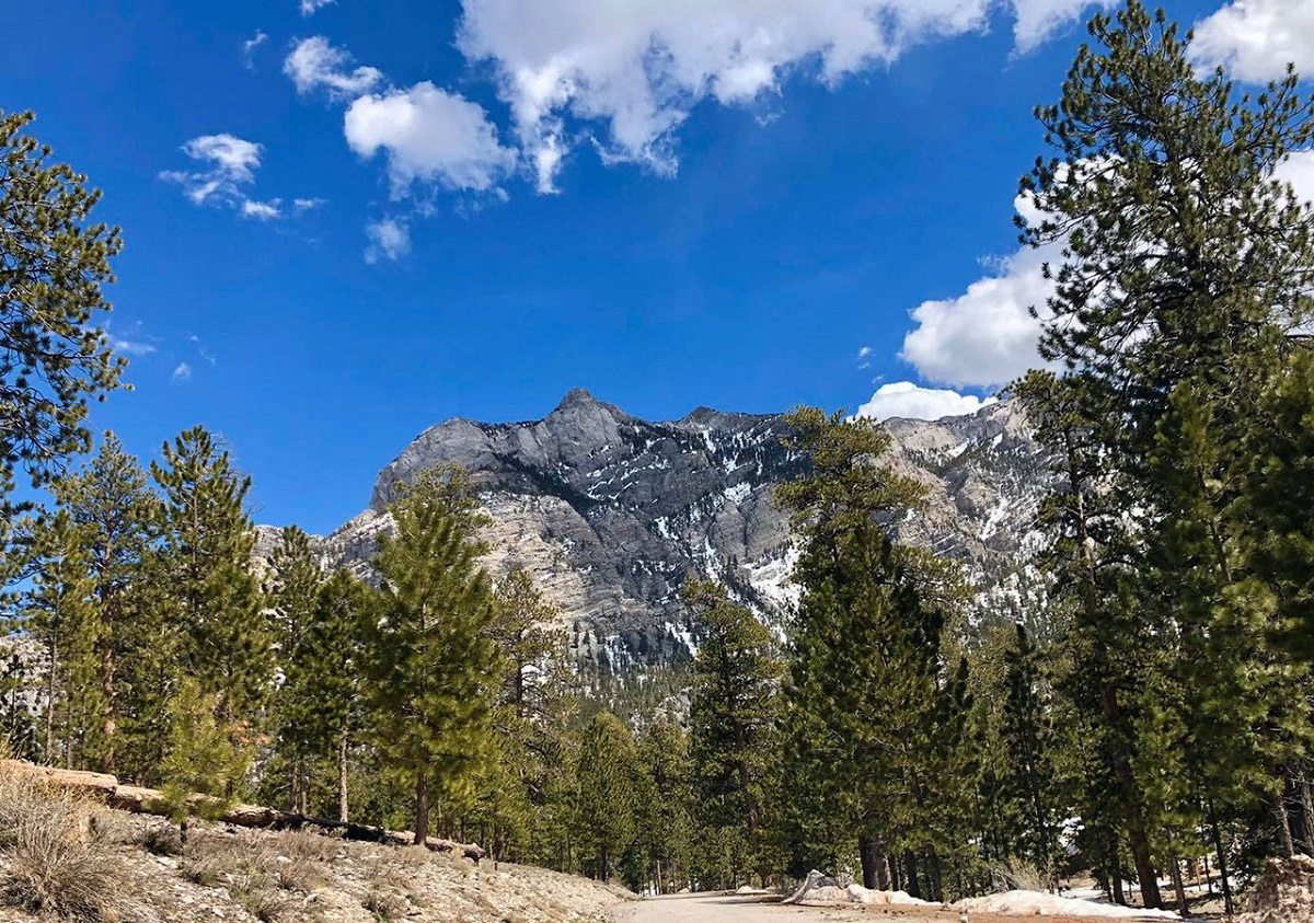 Mt. Charleston in Las Vegas