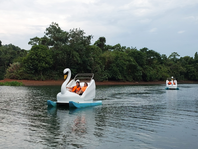 Mountain Lake Resort - swan boat