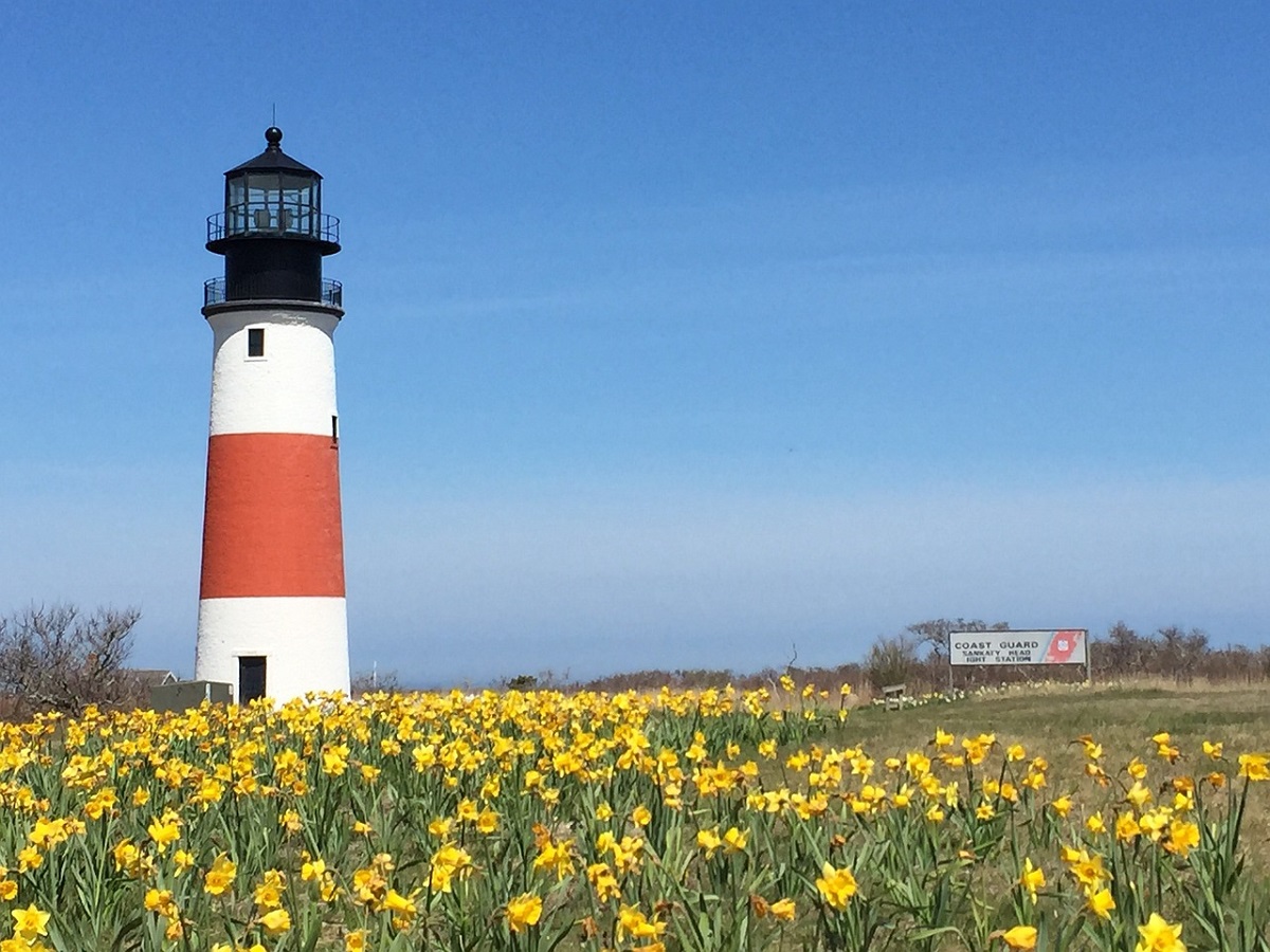 Sankaty Head Lighthouse in Nantucket