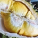 Durian - one of the must-try Mindanao food