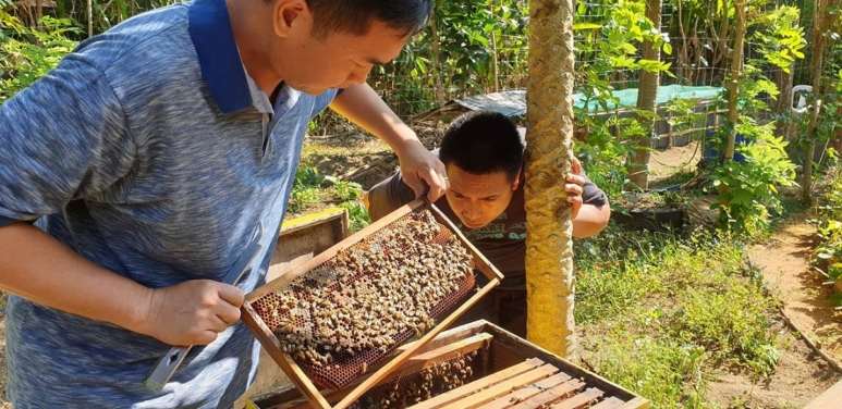 Milea Bee Farm - one of the best tourist spots in Batangas