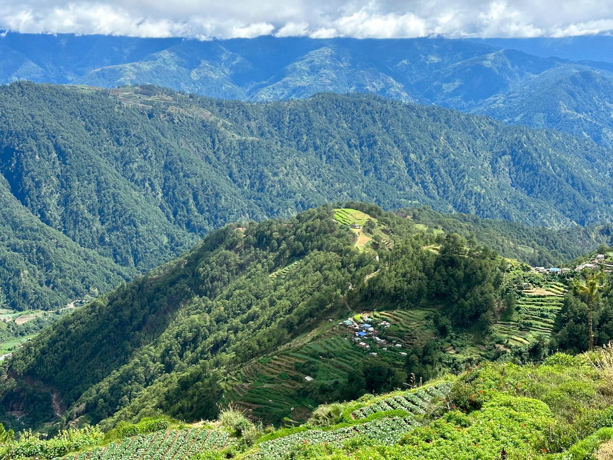 Northern Blossom Flower Farm: A Blooming Paradise in Atok, Benguet ...