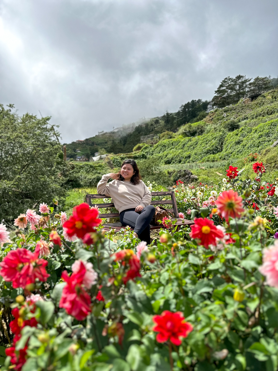 Northern Blossom Flower Farm in Atok, Benguet