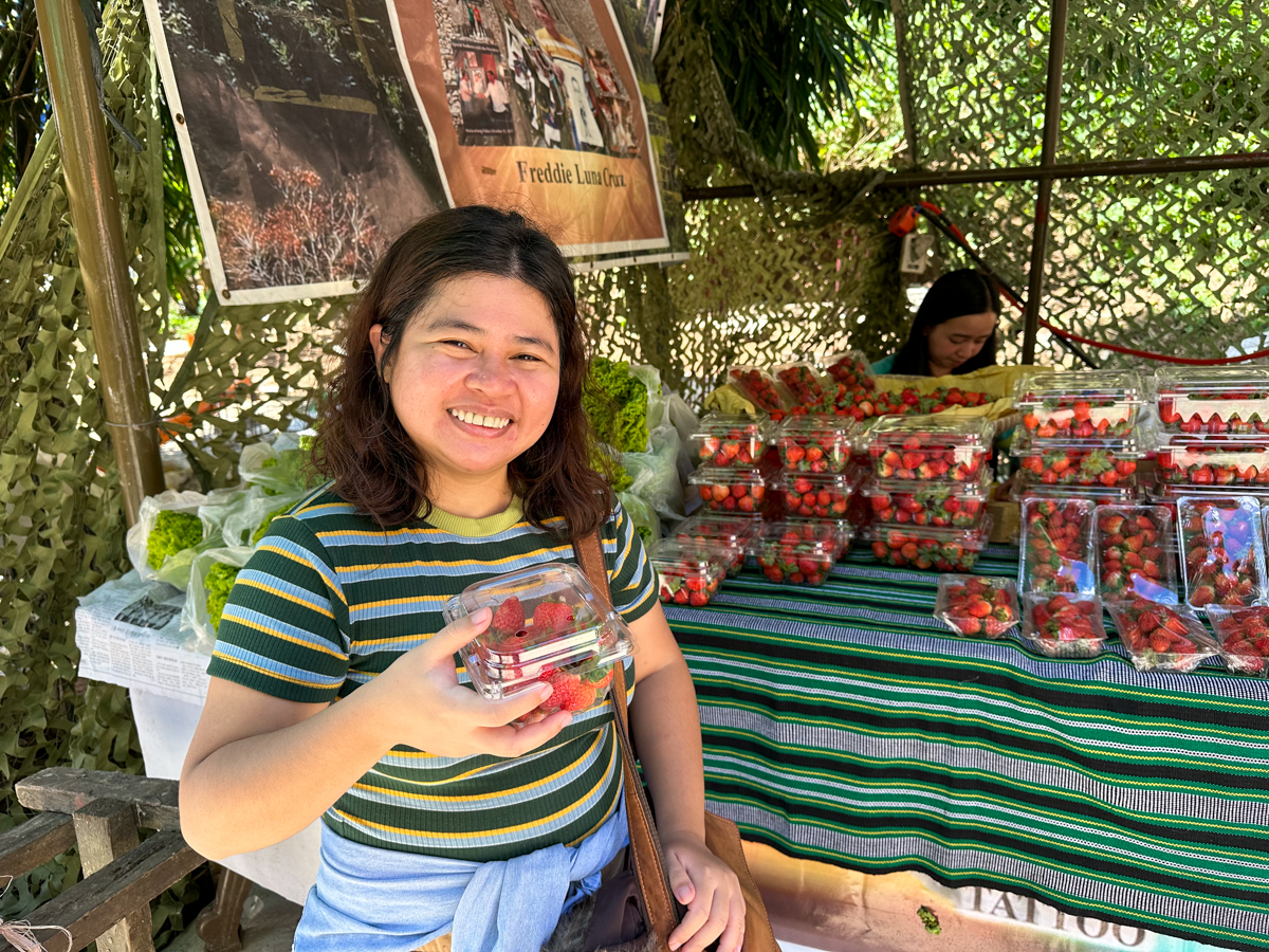 Strawberries in Baguio City