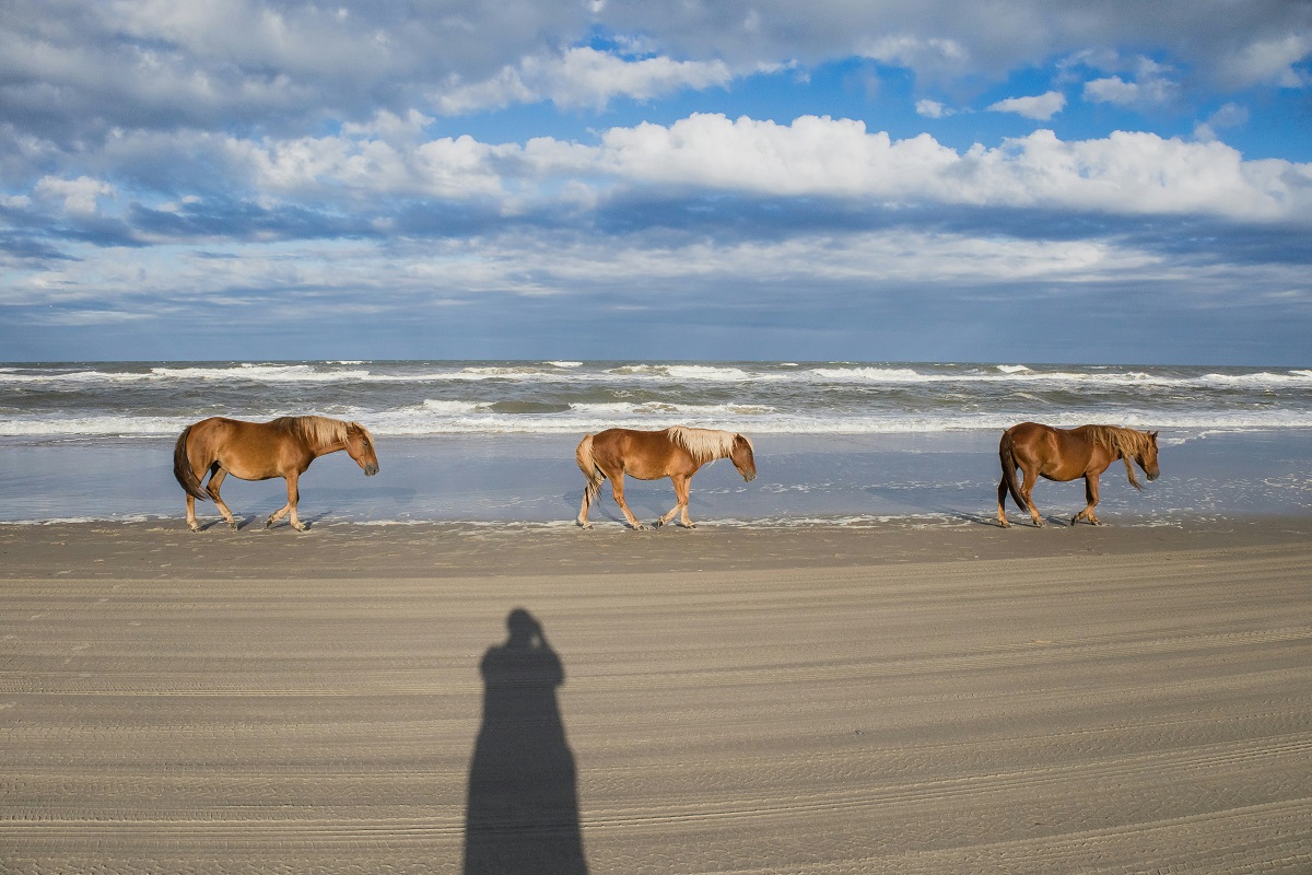 Beach in Outer Banks