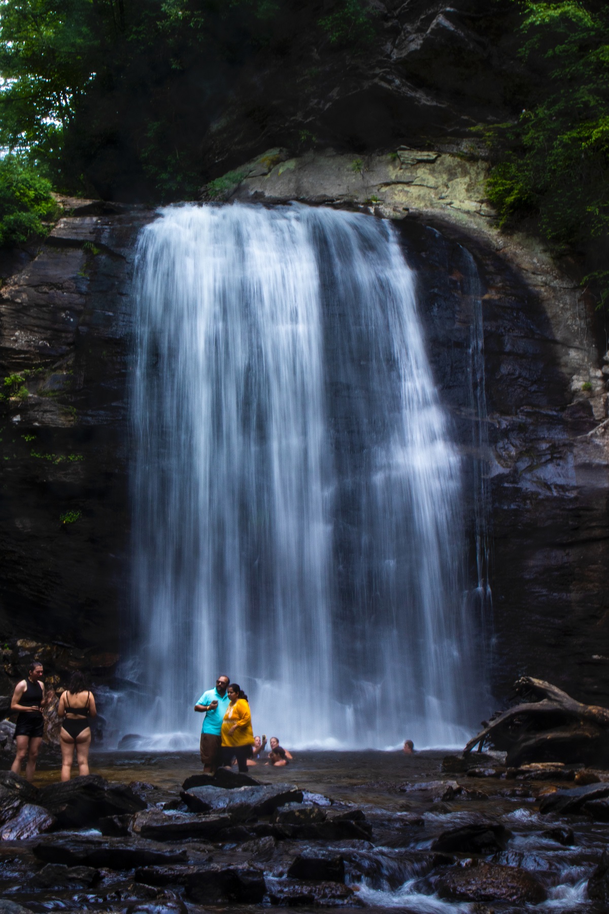 Looking Glass Falls in Pisgah National Forest