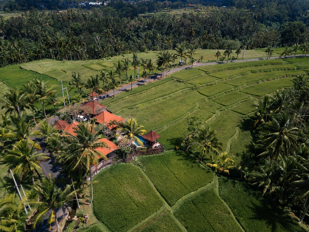 Ricefield villa in Bali