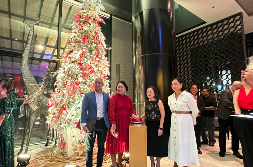 Seda BGC Christmas tree lighting