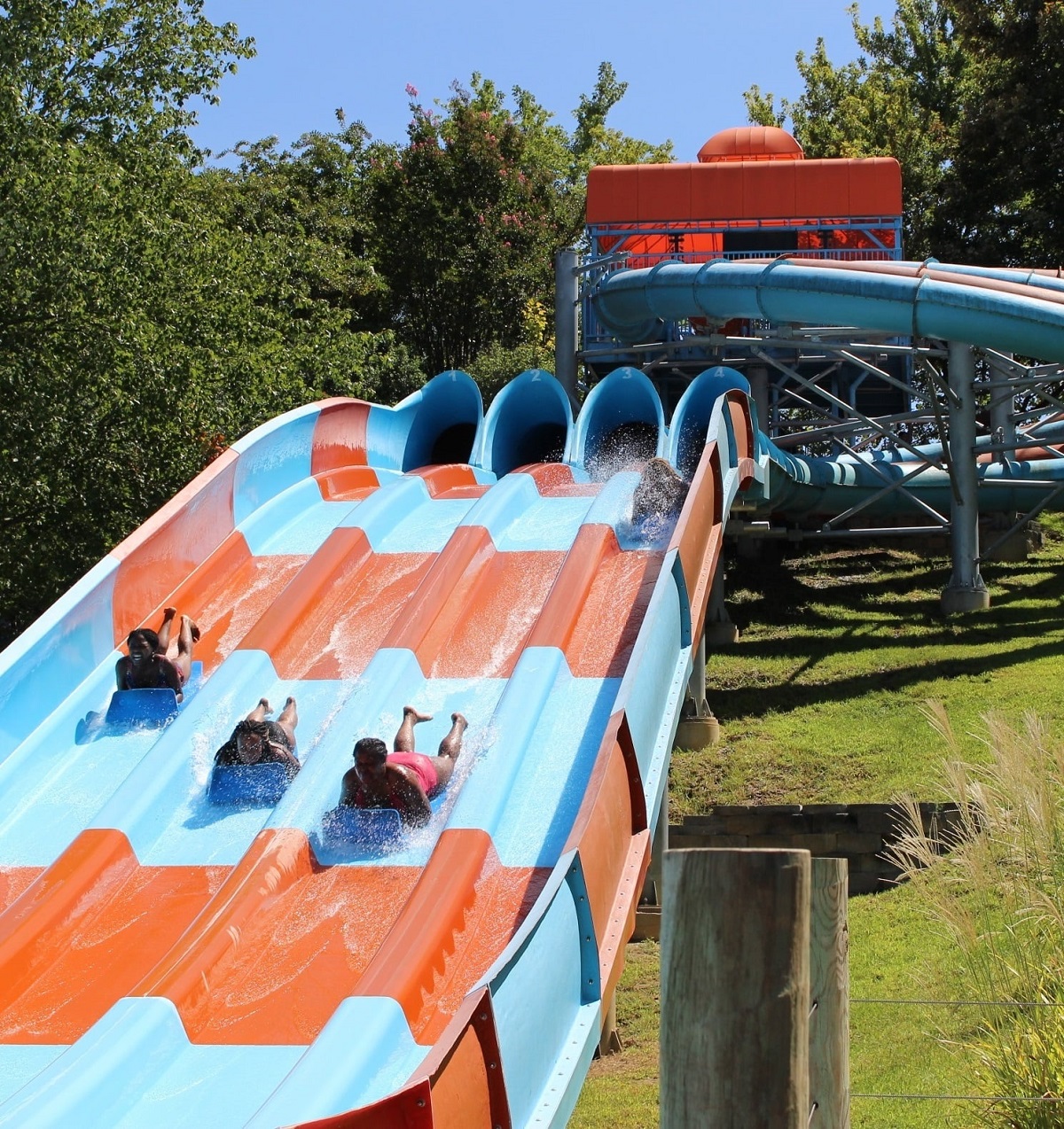 Wet n' Wild Emerald Pointe - one of the best family activities in NC