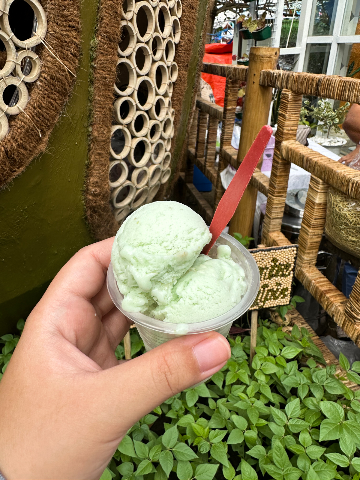 Munggo ice cream - a product of Isabela