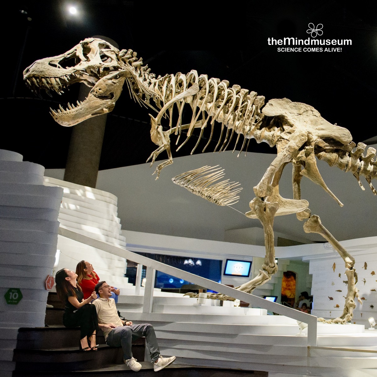 One of the best things to do in BGC Taguig is visiting The Mind Museum