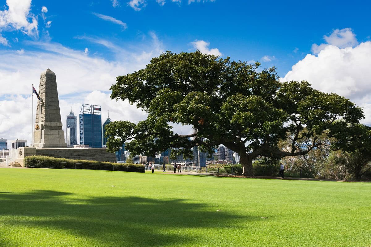 Kings Park - one of the free attractions in Perth
