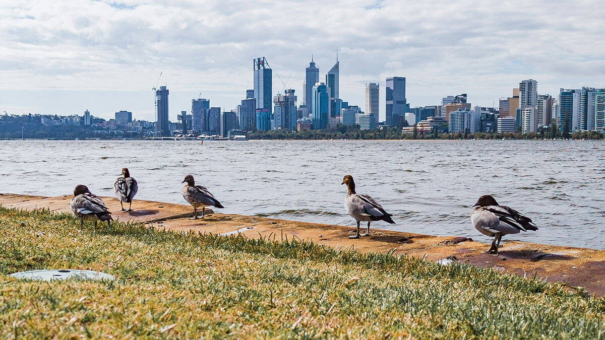 Swan River in Perth