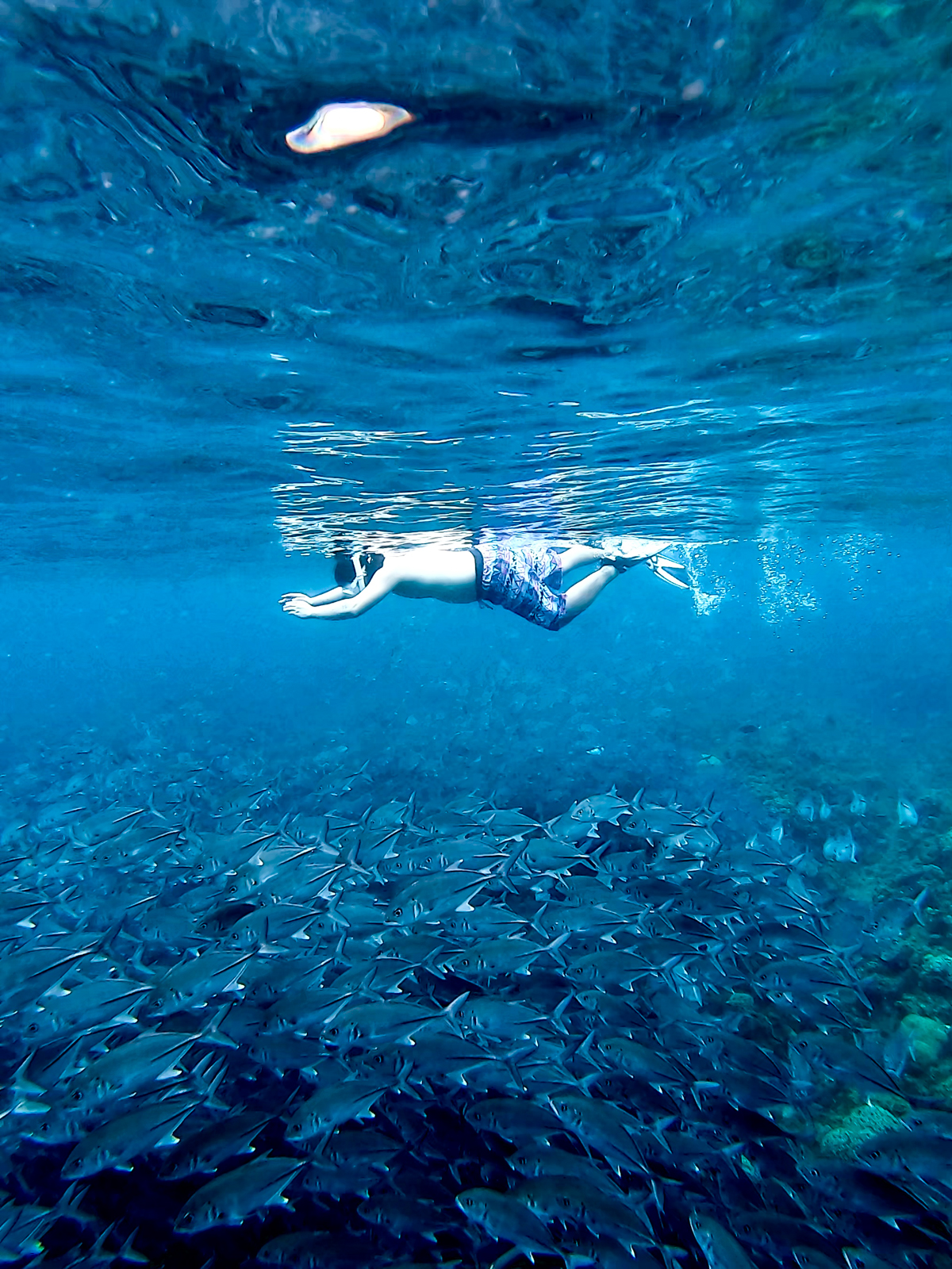 Jack fishes in Bauan, Batangas
