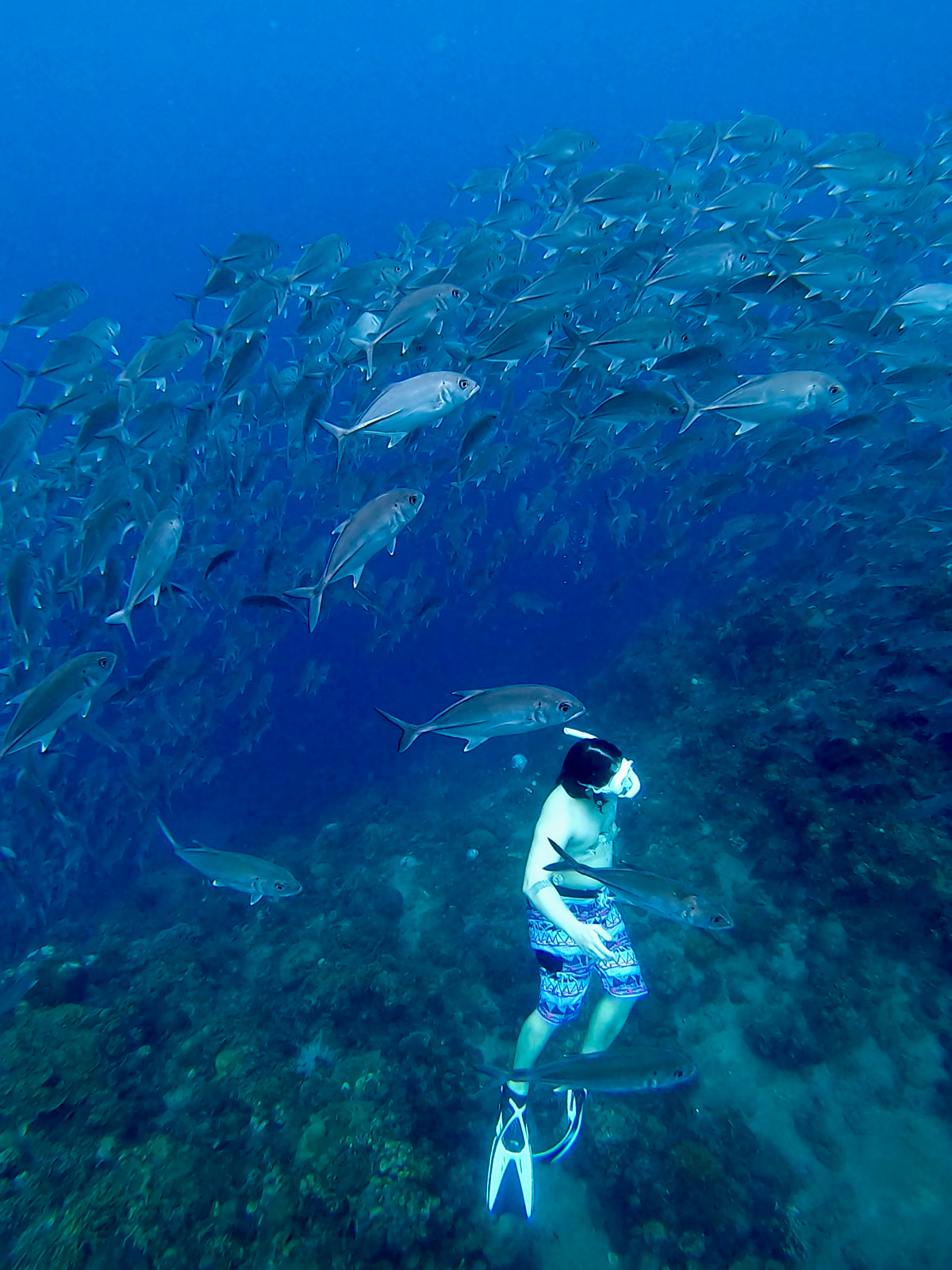 Jack fishes in Bauan, Batangas