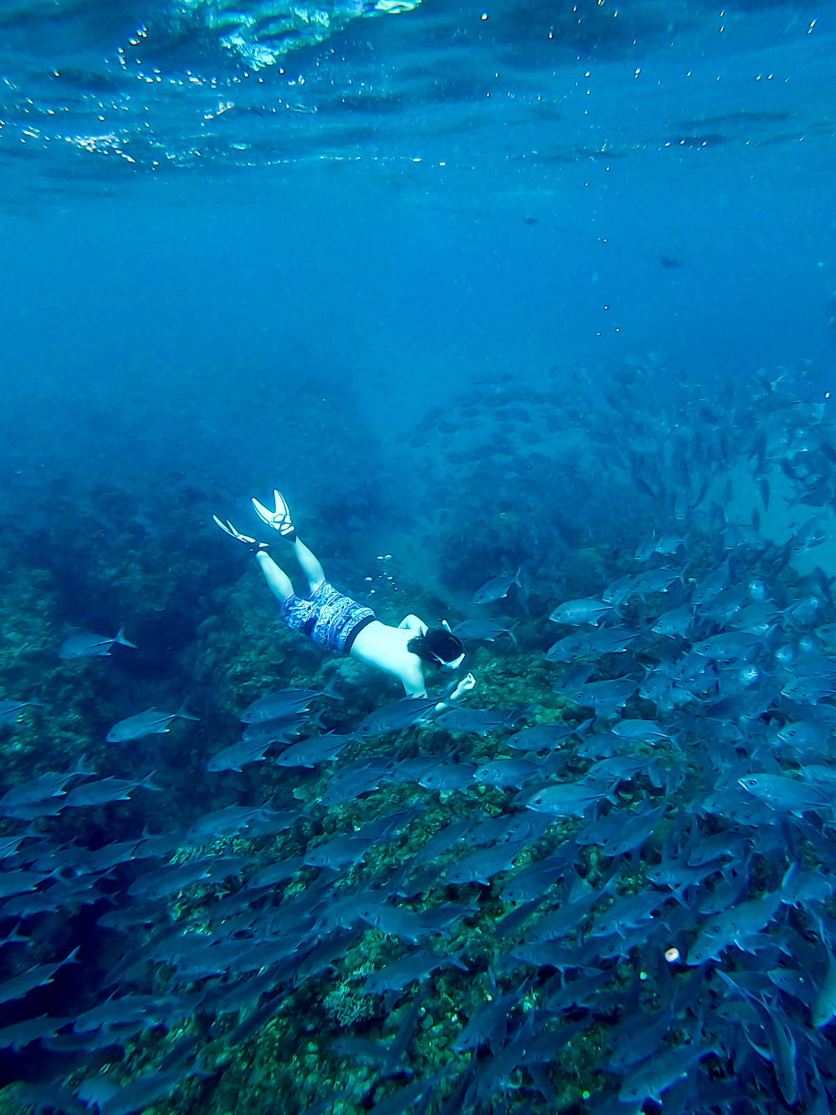 Jack fishes in Bauan, Batangas