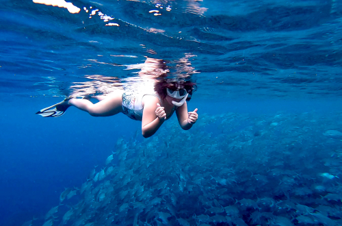 Snorkeling with jack fishes in Batangas