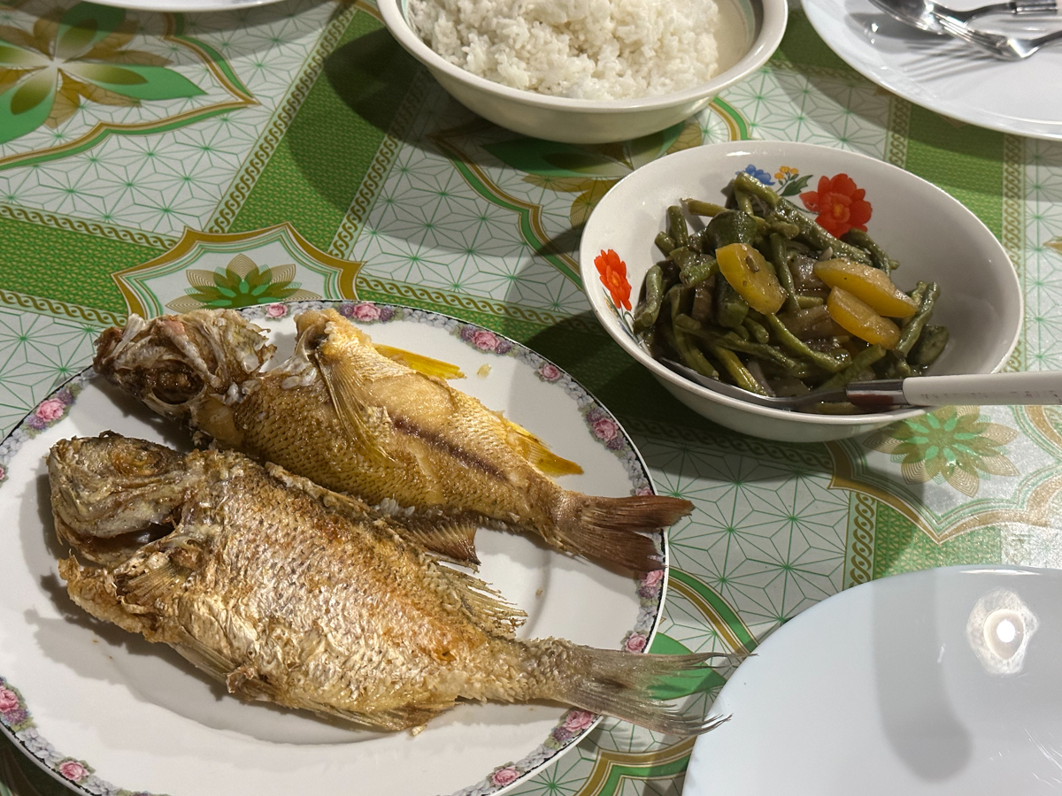 Jan's Beach Resort - fish