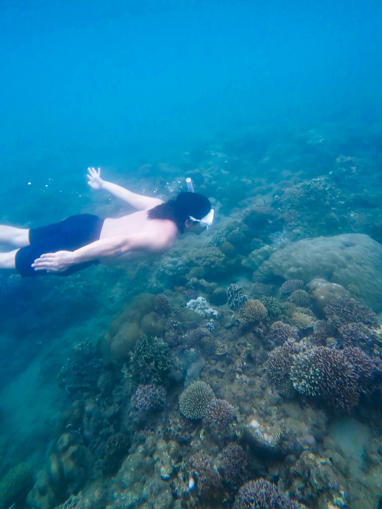 Snorkeling area in Udalo