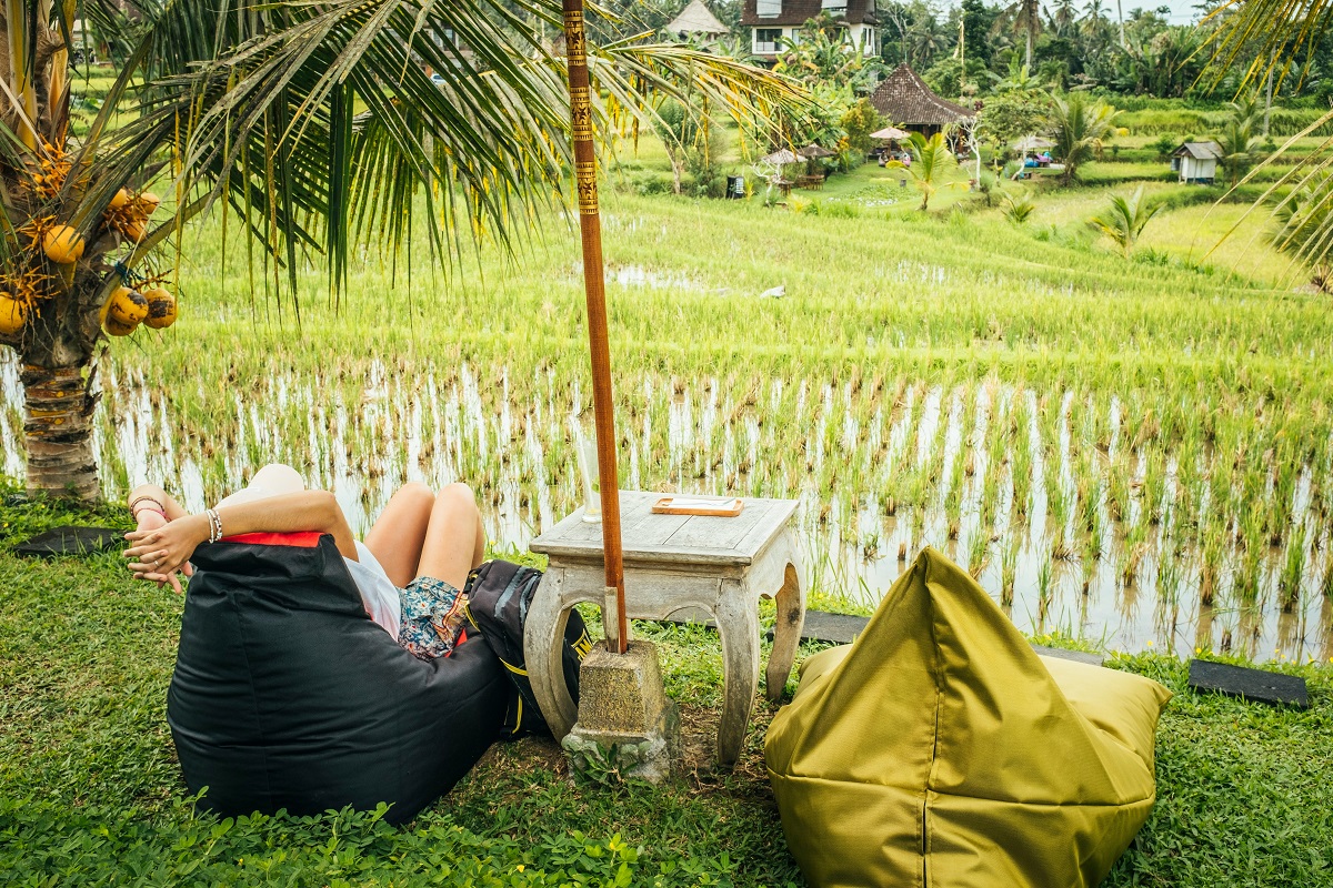 Rice field in Ubud