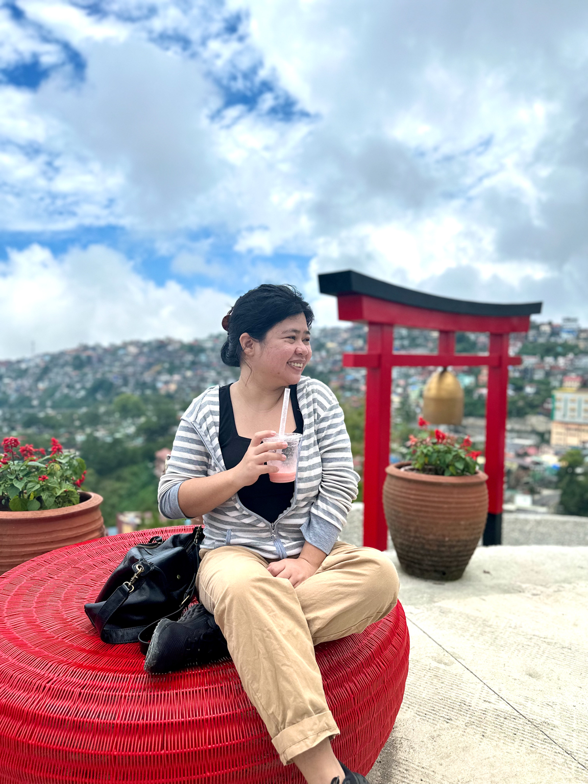 Mirador Park torii gate