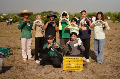 ASEAN coconut tree planting