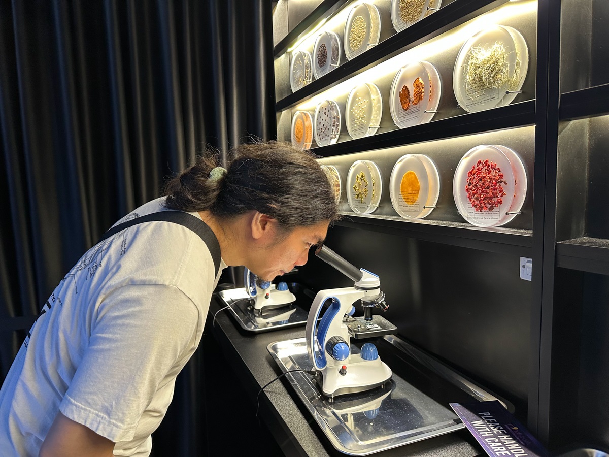 MindSpark museum at Ayala Malls Manila Bay