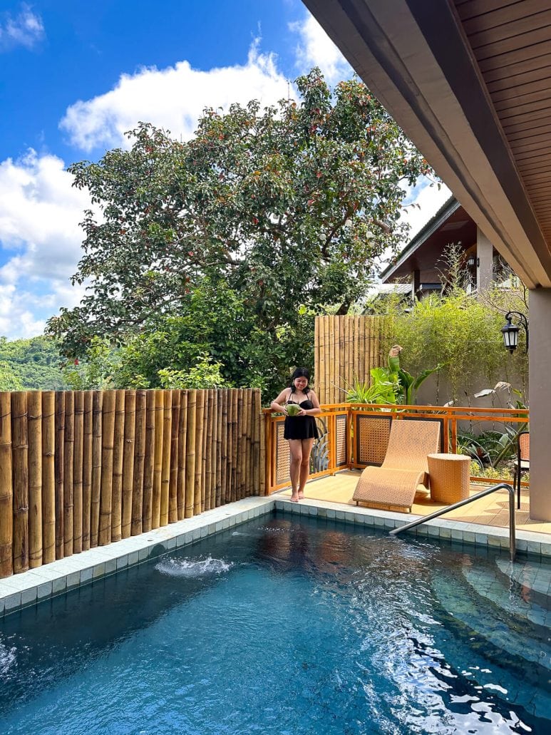 Las Caidas - villa pool