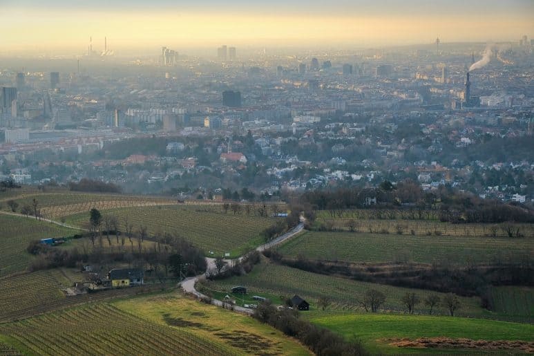 Rolling fields in Vienna, Austria