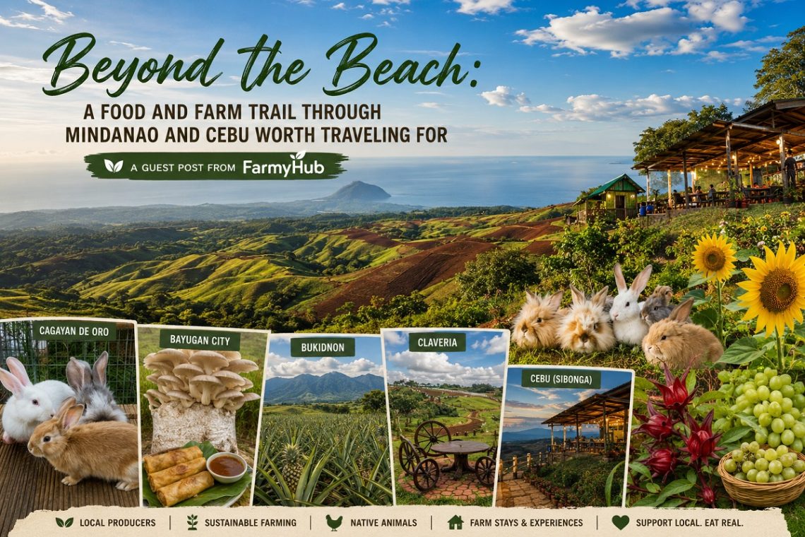 FarmyHub food and farm trail