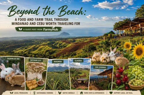 FarmyHub food and farm trail